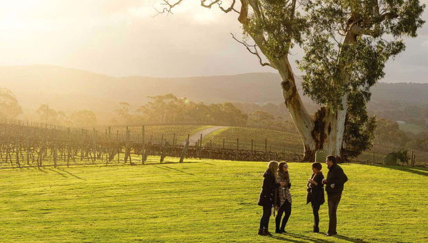 Vignobles de Hahndorf & Hills