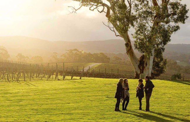 Hop On Hop Off Wine Bus - Photo 2