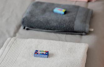 BonaBonheur - T3Bis - Havre de Paix Toulousain - Foto 16