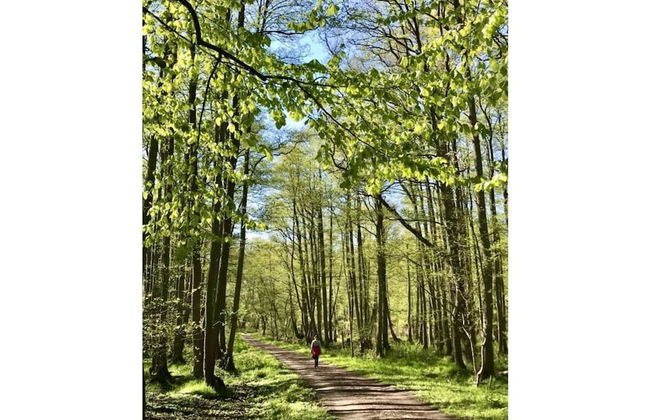 Holiday Home Marla Comfortable Vacation Home - Foto 5