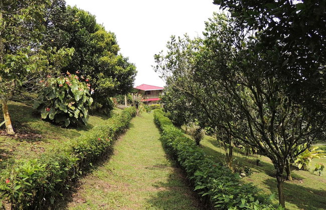 Entre Guaduas - Photo 31