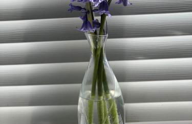 Cotswold Lodge - Foto 40