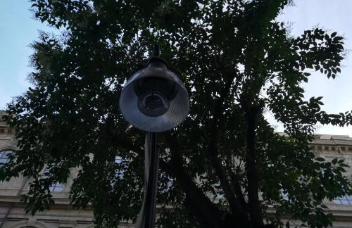 "Dint e viche e Napule" Guest House - Foto 71