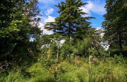 Little Timbers - Foto 46