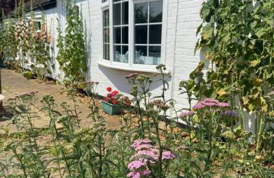 Field Cottage - Foto 1