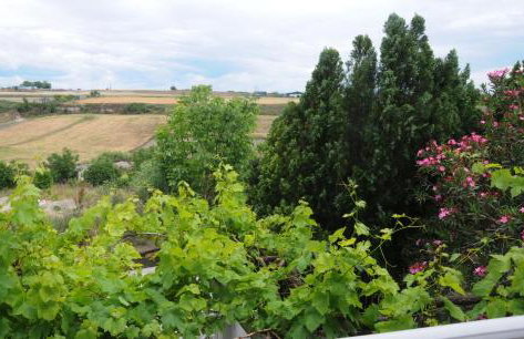 House of Arts - Photo 23