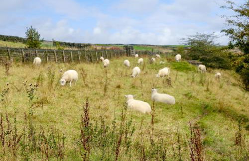 Black House Cottage - Foto 37