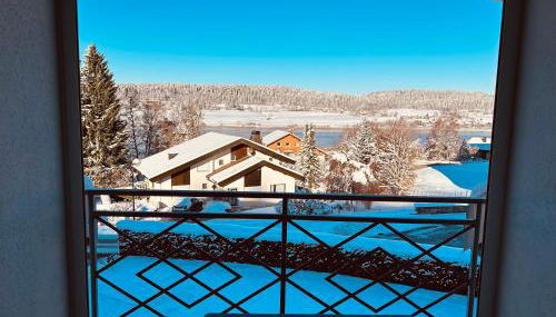 La Gentiane bleue, vue lac Saint Point - Foto 1