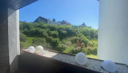 Ferienbutzen Harz Flieder - Foto 4