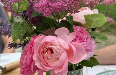 Arboris - Retreat into the open - Photo 7