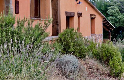 Poble Rural Puig Arnau - Pubilló - Foto 110