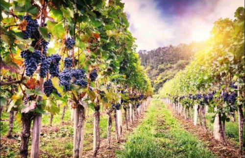 3 Zimmer Neubauwohnung in der schwäbischen Toskana - Foto 40