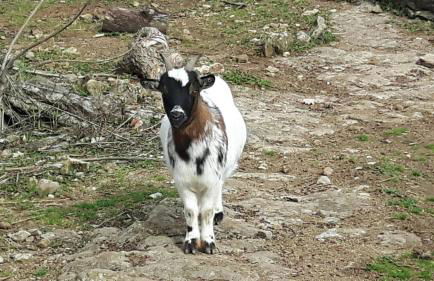 Le CLOS MARFRUMA - Foto 26