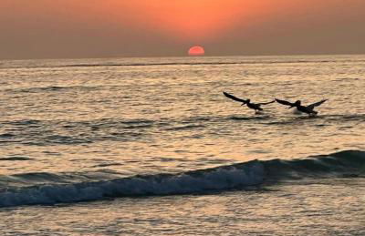 Barefoot Beach Resort in Indian Shores Minutes from Clearwater Beach - Foto 28