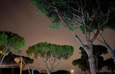 Chalet Urb Doña Violeta 500m Mar - Foto 12