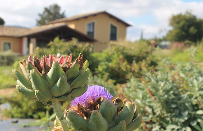 Country House Erba Regina - Foto 43