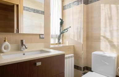 Vitoria-Gasteiz magnífica casa - Foto 31