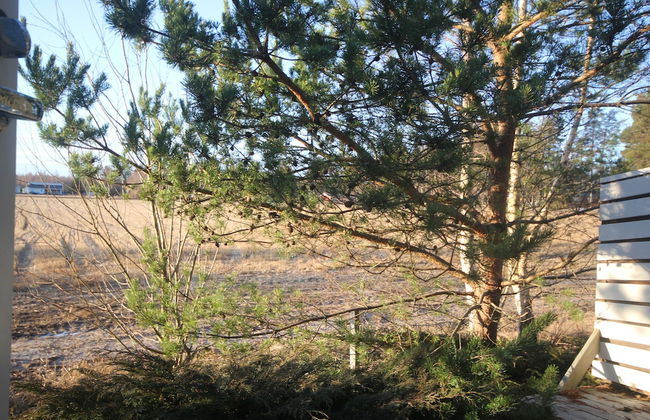 Huoneistohotelli Jääskän Loma - Foto 20