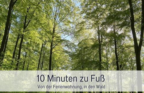 Am Feldrain - Urlaub mit Hund im Weserbergland - Photo 30