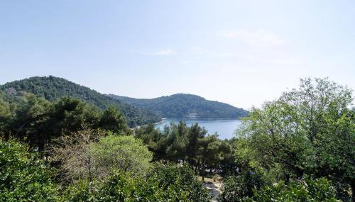 Guest House Kralj - Foto 2