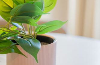 Sarrouge S.a.r.l / Le Gabriel - Photo 120