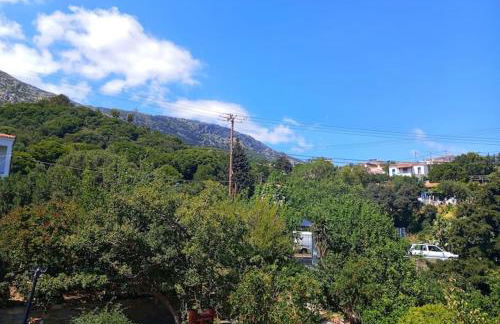 Paradisos House - Foto 15