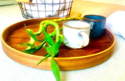 PLANT HOUSE Roma Eur - Foto 22