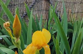 Douro Balcony - Foto 37