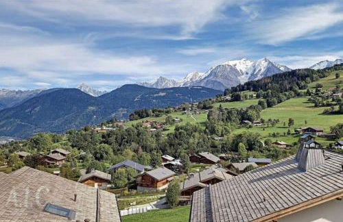 Renovated flat facing Mont Blanc - Photo 33