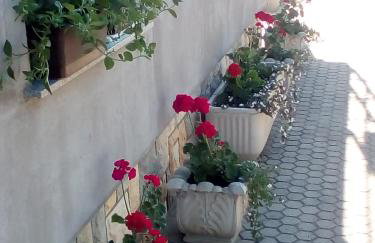 Apartmani Anna - Foto 56