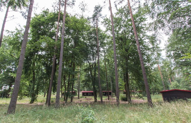 Natura-Familienpark Grimnitzsee Recreation Park - Foto 19