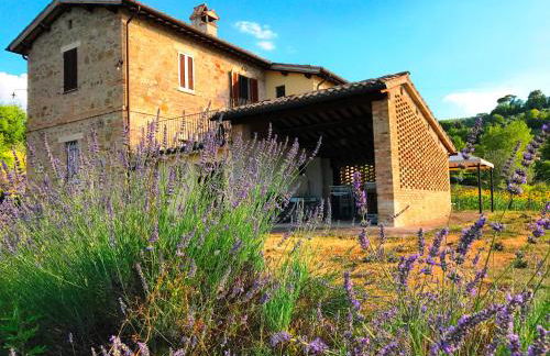 Appartamenti Verde Collina Umbra - Foto 30