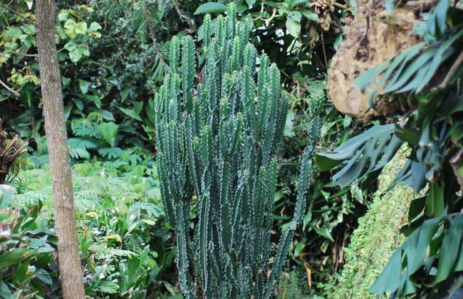 Crater Bay Cottages - Photo 52