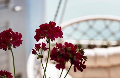 Mavip Residence - Foto 2