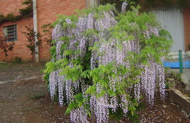 Harry World Parque Hotel - Photo 11