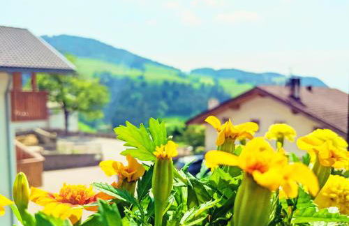 Vidora Apartments - Dolomites Escape in Alpe di Siusi (Seiser Alm) - Foto 10