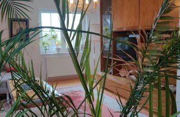 Schöne Ferienwohnung bei Berlin - Foto 2