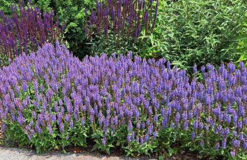 Ferien im Kühbergstadl - Foto 16