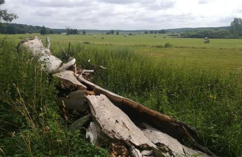 Old School Nausdorf - Foto 19