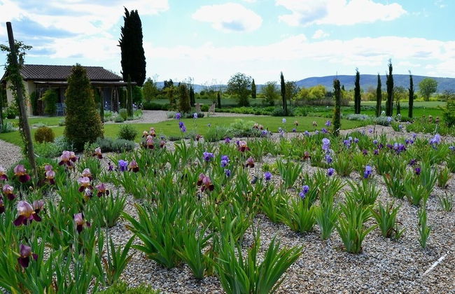 Rinidia Bio - Foto 59