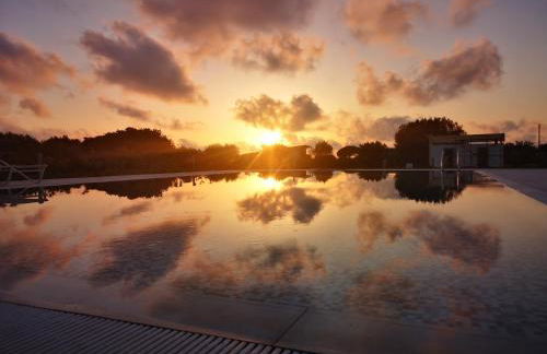 Gallo Fino - Foto 60