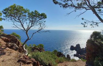 Vue exceptionnelle sur la mer et le Cap Estérel - Foto 43