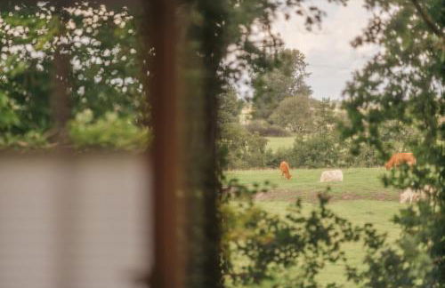 "Reetland" - Haus Hartwig - Photo 26