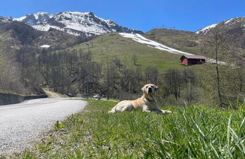 Artesina - ski in & ski out - vista sulle Alpi e camino - Foto 25