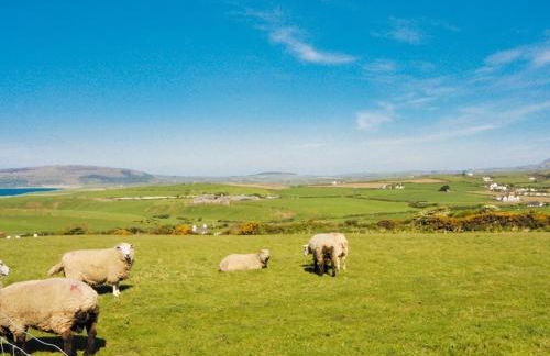 Riffli - Hw7700 - Photo 10