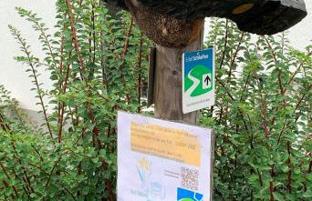 Familiennest-Eifel - Photo 25