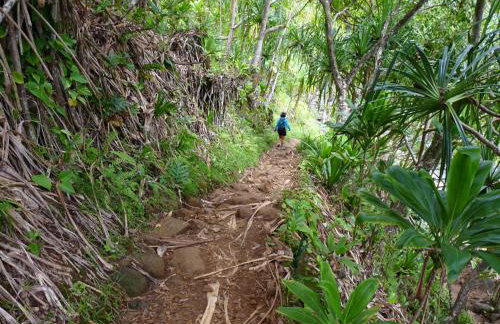 Kiahuna Plantation 96, Poipu Beach, Club Membership, Part Ocean View, Kids Toys - Foto 39
