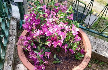 Da Ange e Bru - Foto 13