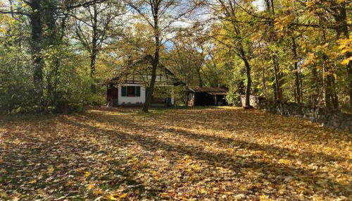 Haus am Wald - Foto 5