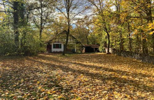 Haus am Wald - Foto 5